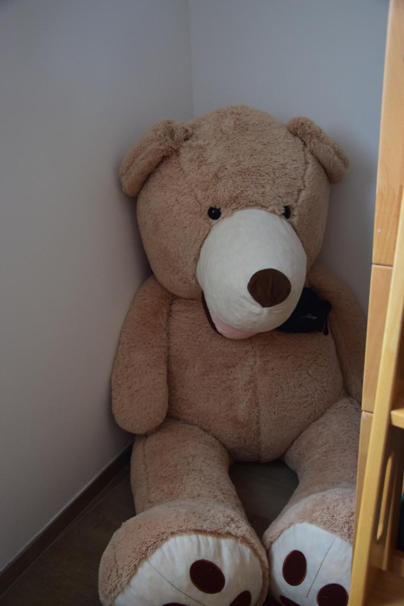 Eifelzauber Thielen Apartment Irrel ภายนอก รูปภาพ